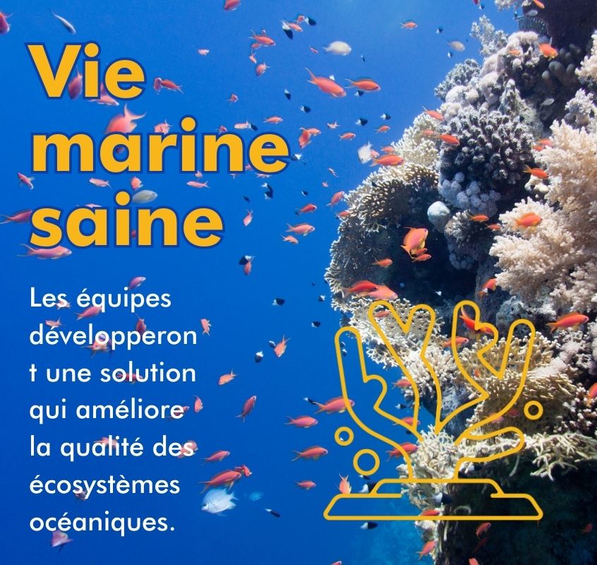 Carte de catégorie Vie marine saine