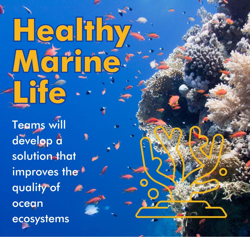 Healthy Marine Life category card