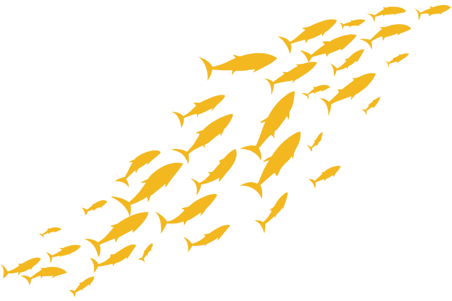 Picture of yellow fish going across the page